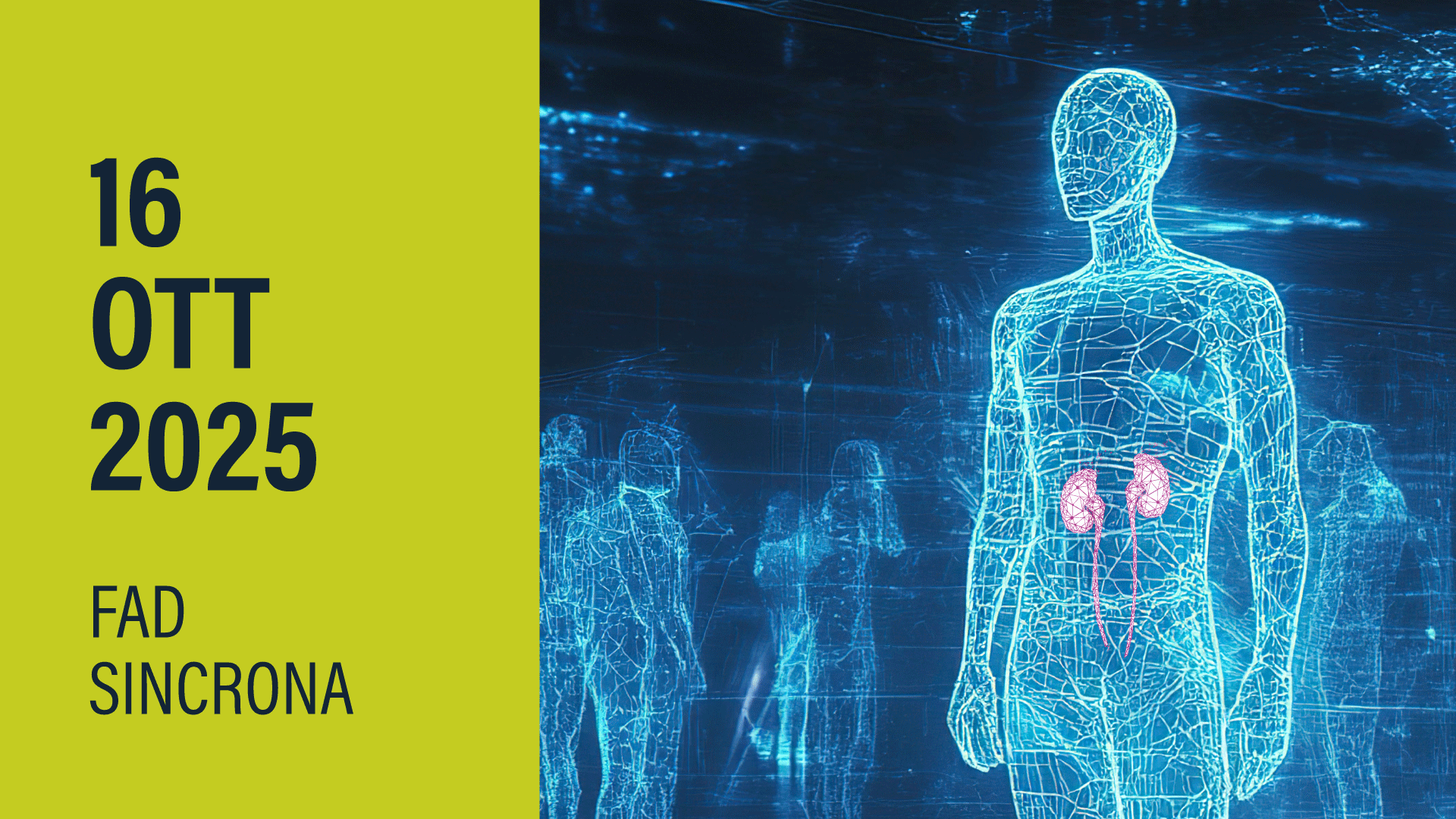 D-K SYNERGY INNOVAZIONE E SINERGIA PER LA CURA DEL PAZIENTE DIABETICO NEFROPATICO