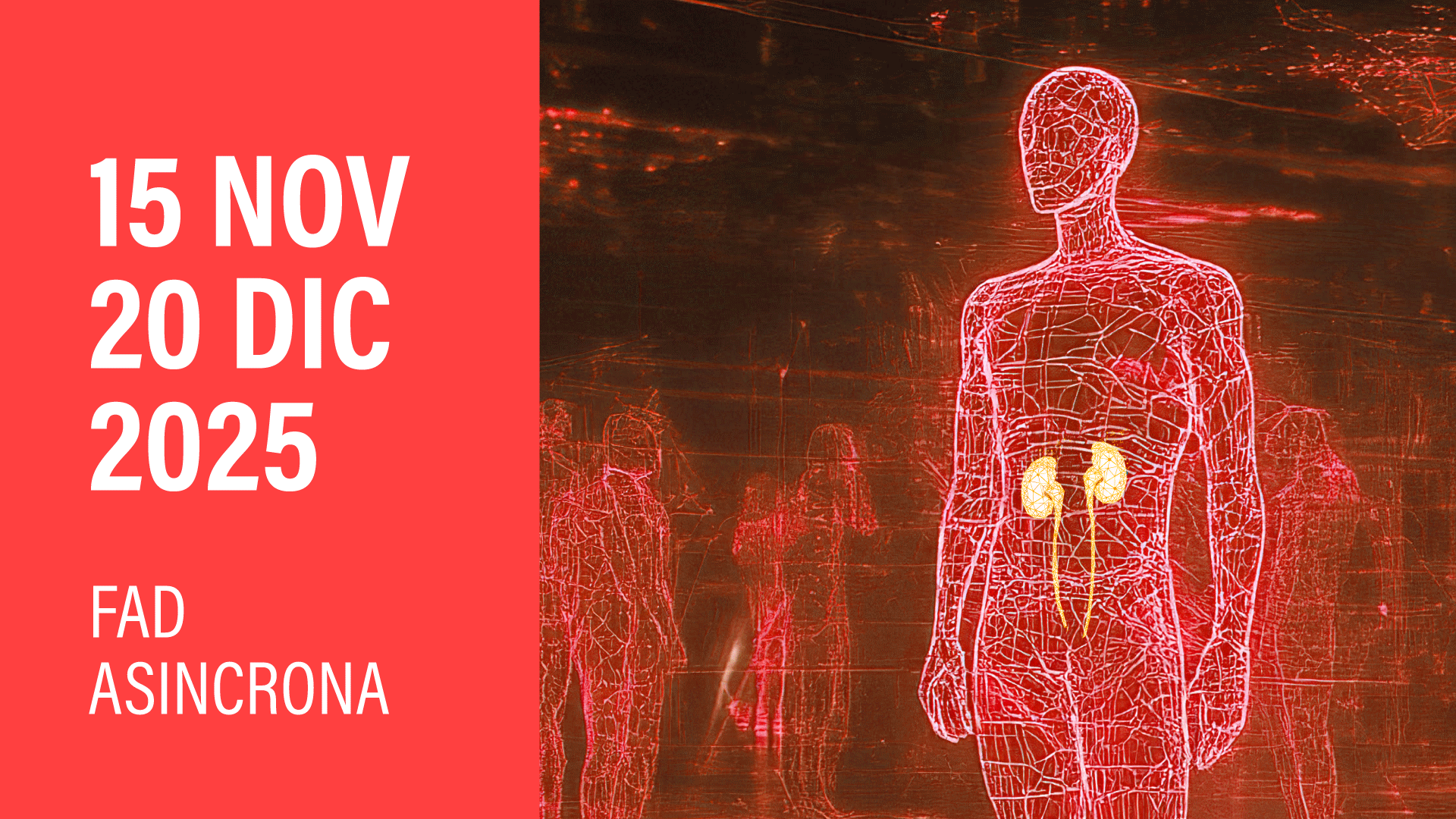 D-K SYNERGY INNOVAZIONE E SINERGIA PER LA CURA DEL PAZIENTE DIABETICO NEFROPATICO FAD ASINCRONA