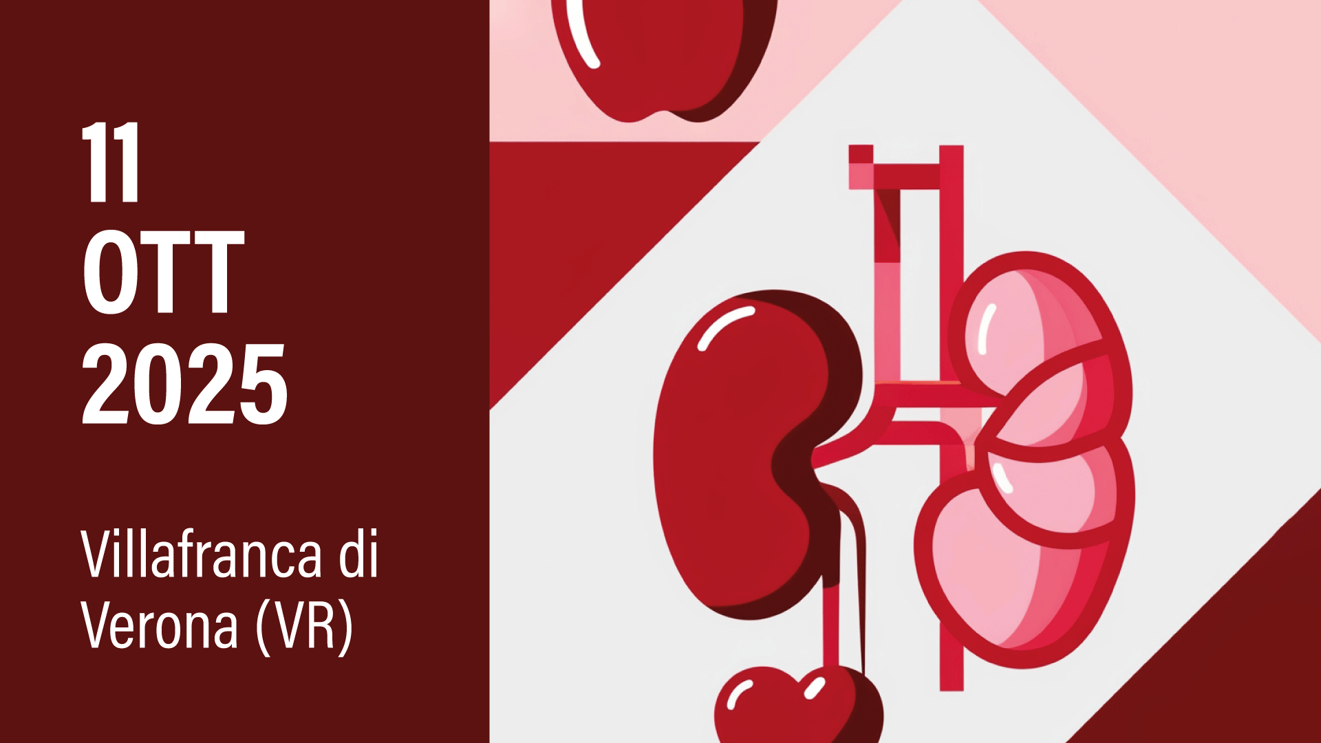 APPROCCIO AL PAZIENTE CARDIO RENALE METABOLICO 